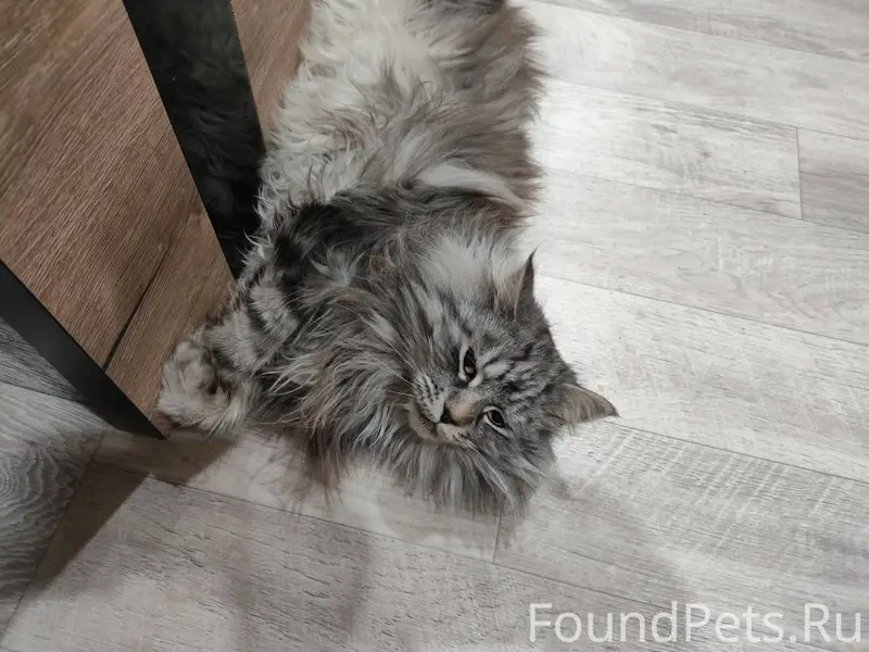 Добрый день. Уважаемые Белоярц...