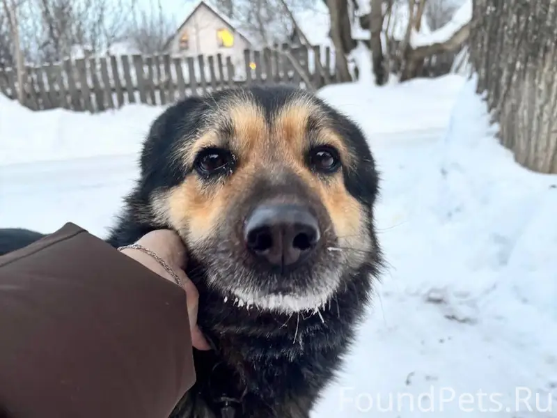 🆘🆘🆘🆘🆘🆘🆘🆘🆘🆘🆘 Продолжаем искать ...