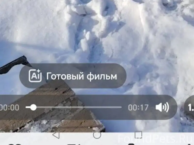 Зверосовхоз, пропала собака, м...