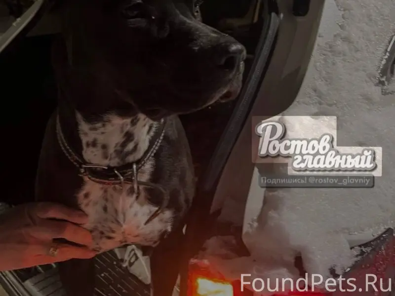 💔 В районе Текучевского моста ...