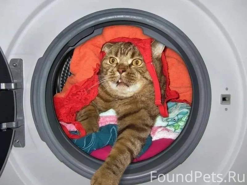 Вчера в моей жизни случилось с...