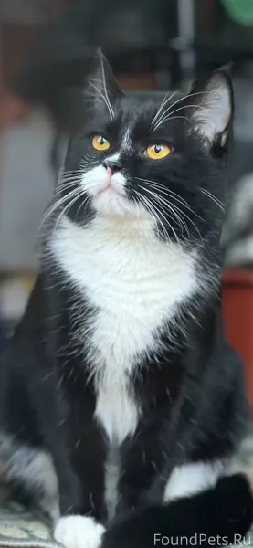 ДРУЗЬЯ,ПОМОГИТЕ РАСПРОСТРАНИТЬ...