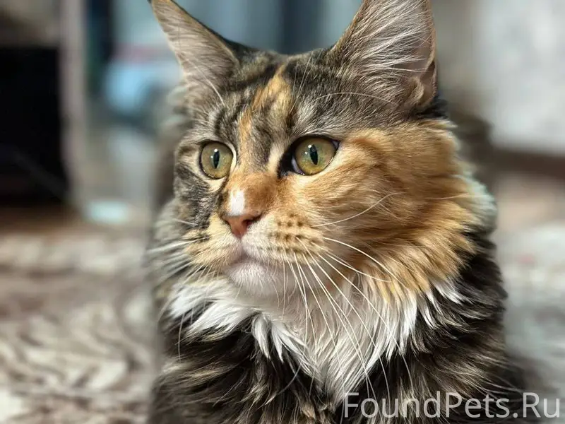 8 января около 21:00 Пропала.....