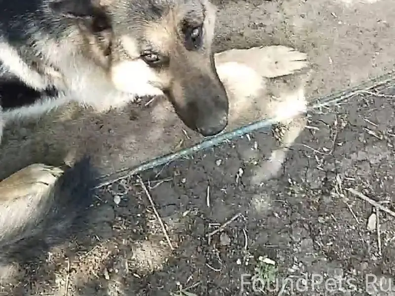 Здравствуйте, к сожалению наша...