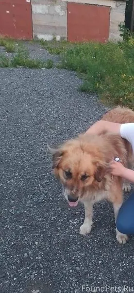 Помогите пожалуйста, пропал дв...