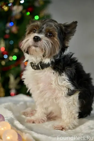 Наш подкидыш!!! Кто со мною да...