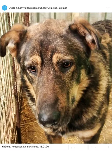 КОЗЕЛЬСК ТАРУСА В Калужском от...