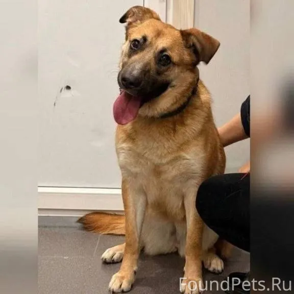 🆘🆘🆘🆘🆘🆘🆘 ПРОШУ МАКСИМАЛЬНЫХ РЕП...