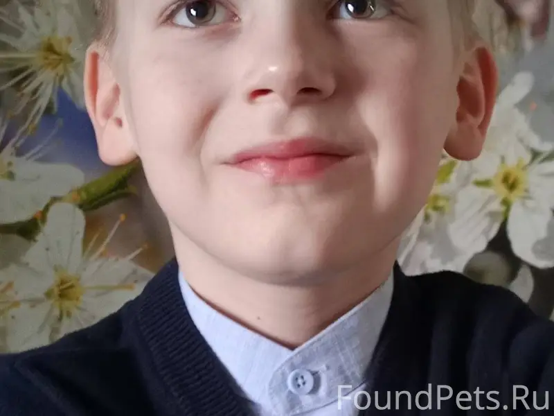 Пропал кот Мурзик черный с бел...