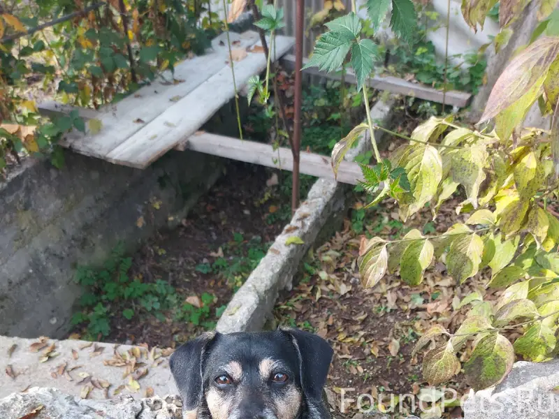 В пгт Куйбышево в районе улицы...