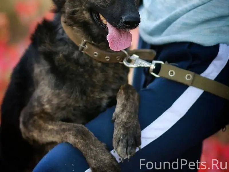 Крым! Максимальный репост!Помо...