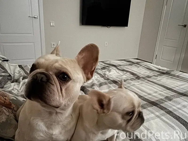 Здравствуйте! Разместите пожал...