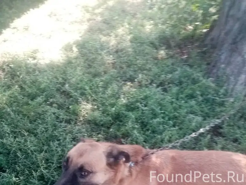 Астрахань! Срочно! Помогите на...