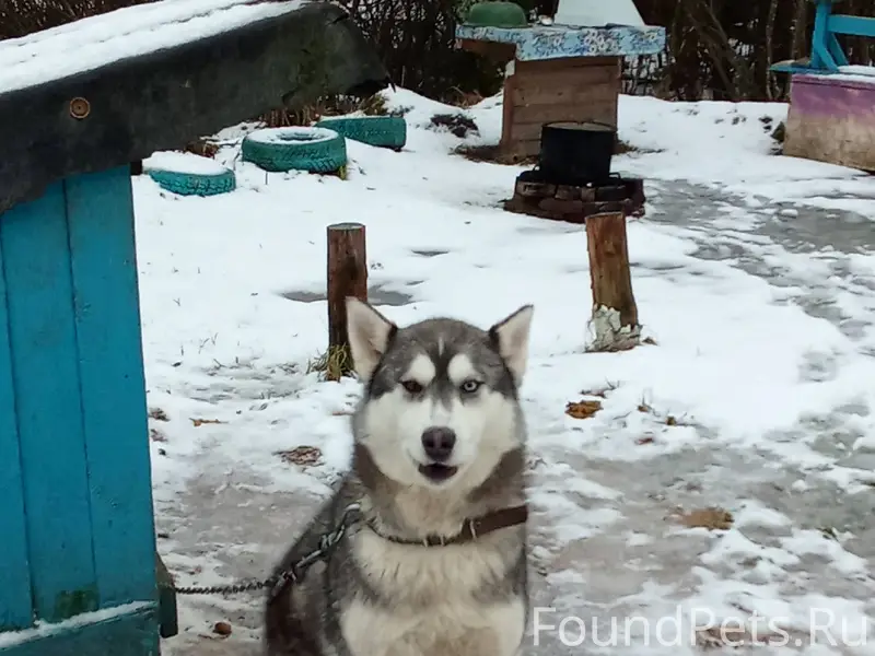 Здравствуйте, кто видел мою со...
