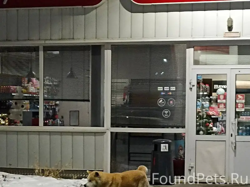 Добрый вечер, разместите, пожа...