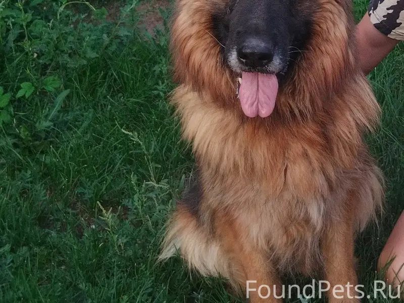 Кому не сложно, разместите пож...