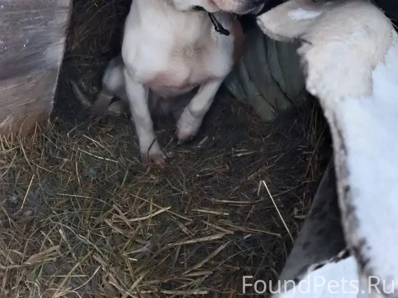 Тербунский район!!! Местные , ...