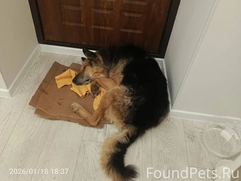 Сегодня 18 января в районе съе...