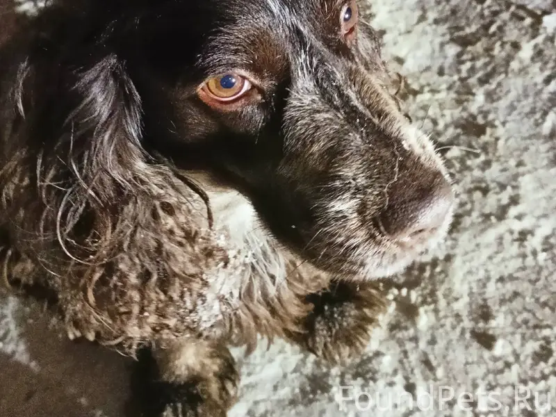 Друзья, прошу максимальный реп...