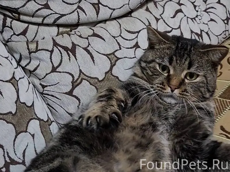 🆘Помогите пожалуйста🆘 Пропал к...