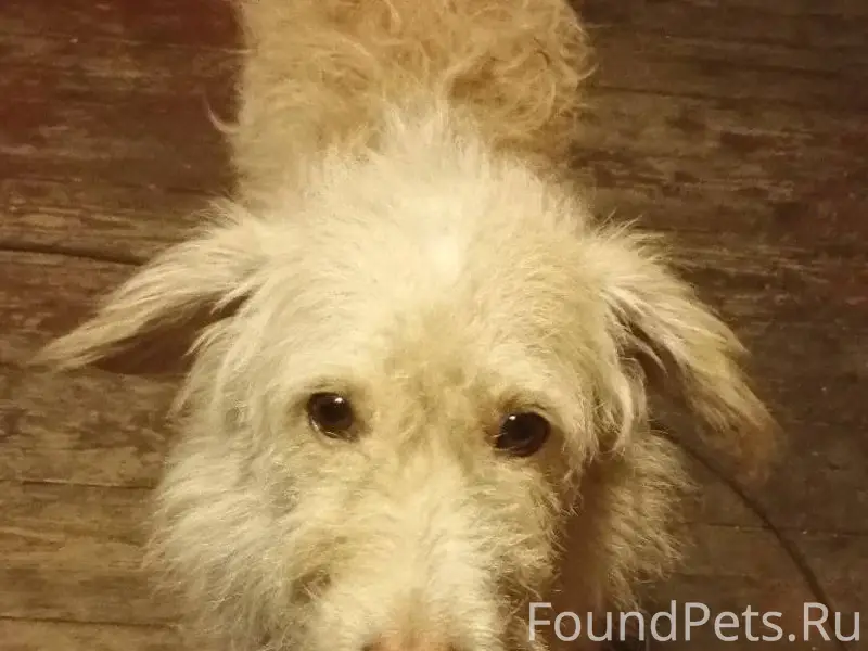 Пожалуйста, помогите Может кто...