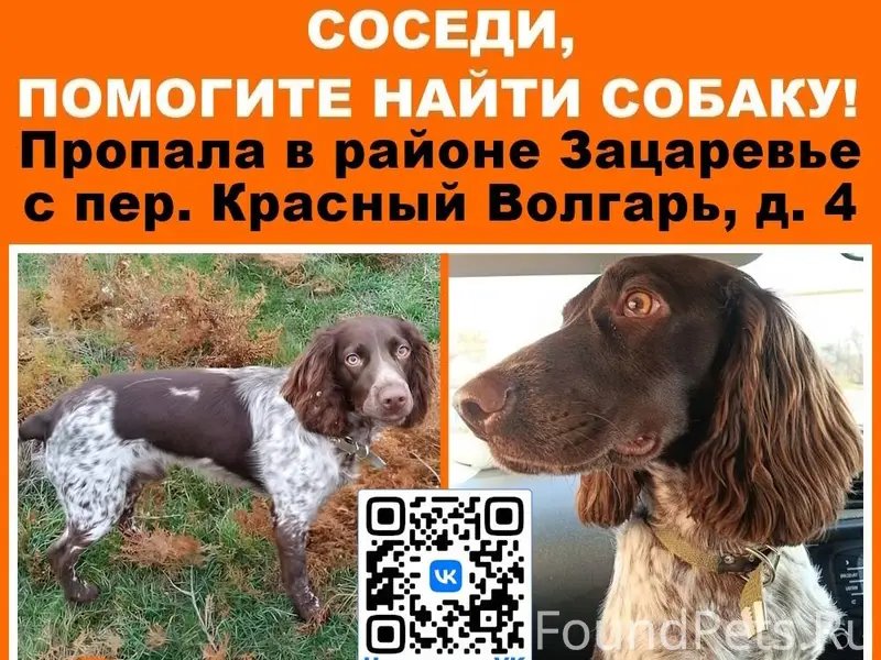 Пропала собака. Если увидите у...