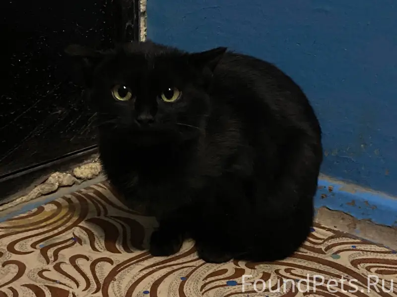 Всем Доброго Времени суток Най...