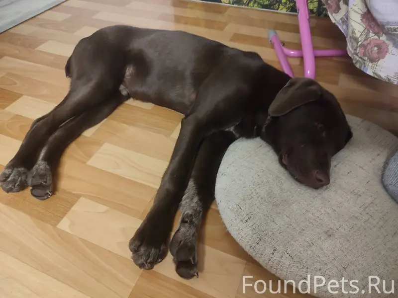 Ростов-на-Дону. Найдена потеря...