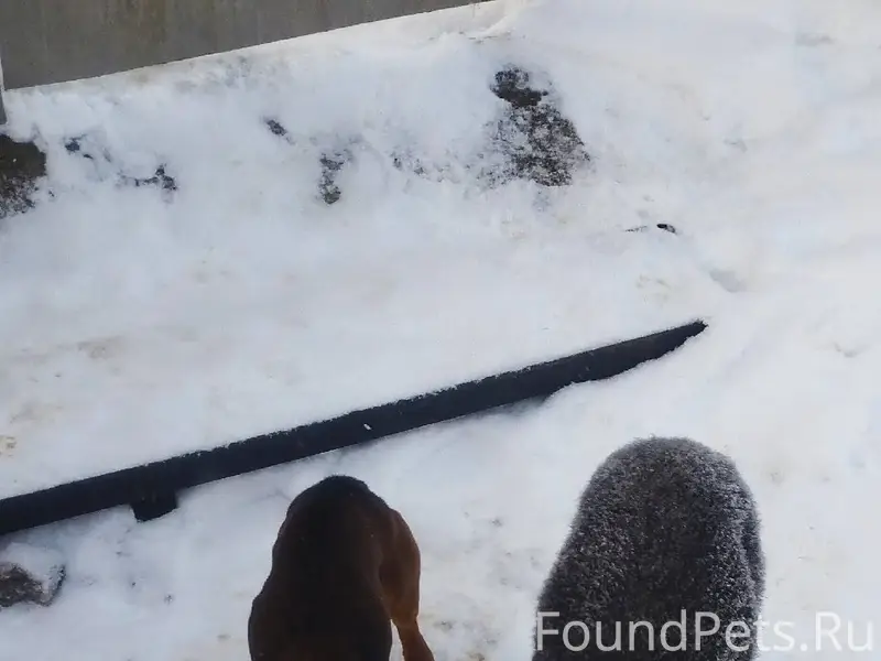 По д. Загорье , Смолевичского ...