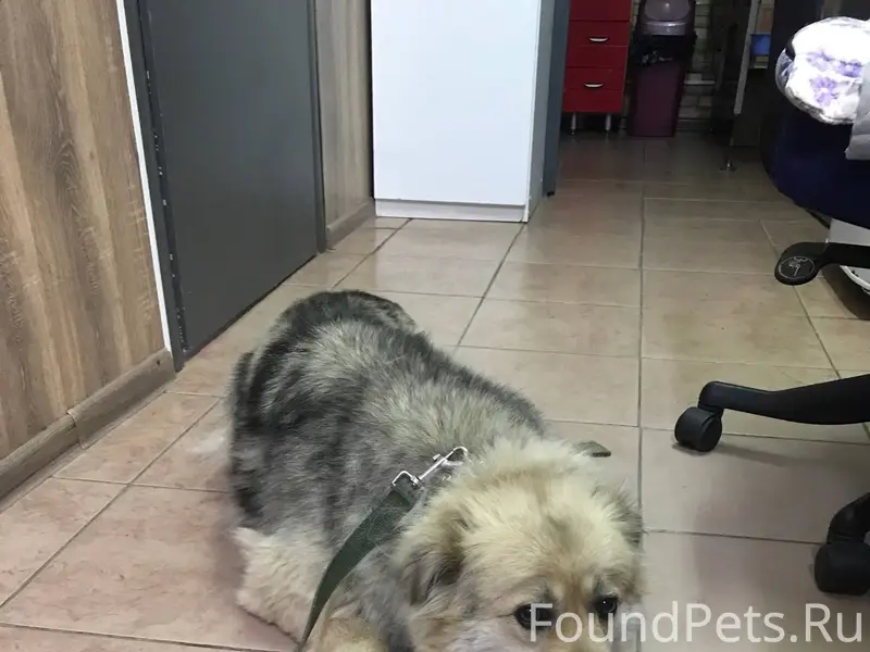 Моск область Воскресенск. Из в...