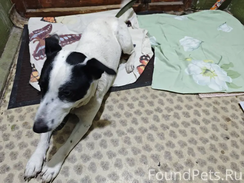 Добрый вечер! Сегодня, 18.01.2...