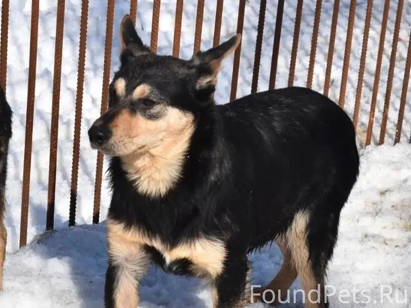 Донской! Тульская область‼️ ВН...