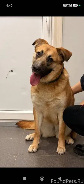 ПРОШУ МАКСИМАЛЬНЫХ РЕПОСТОВ. Э...