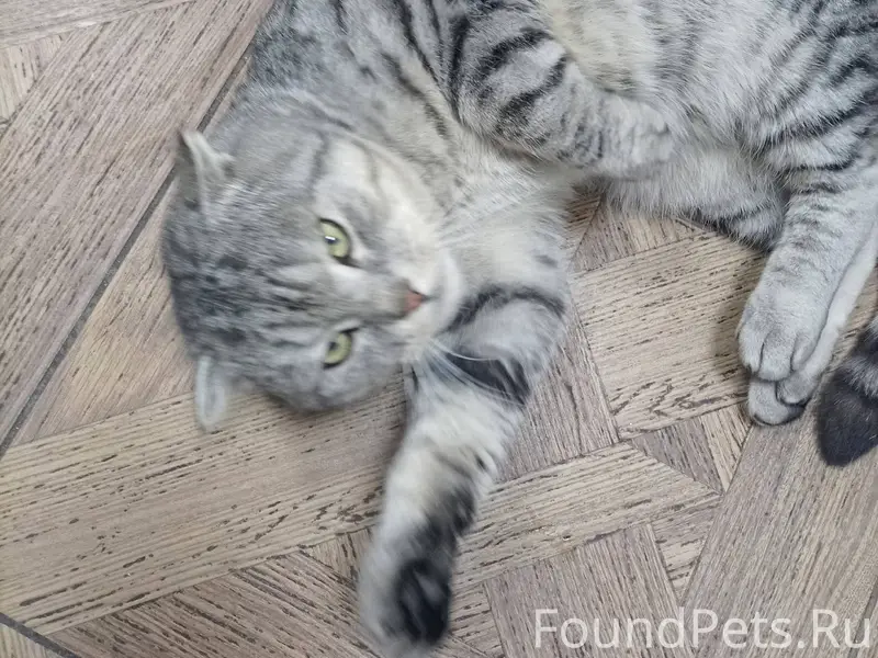 Добрый день. Опубликуйте пожал...