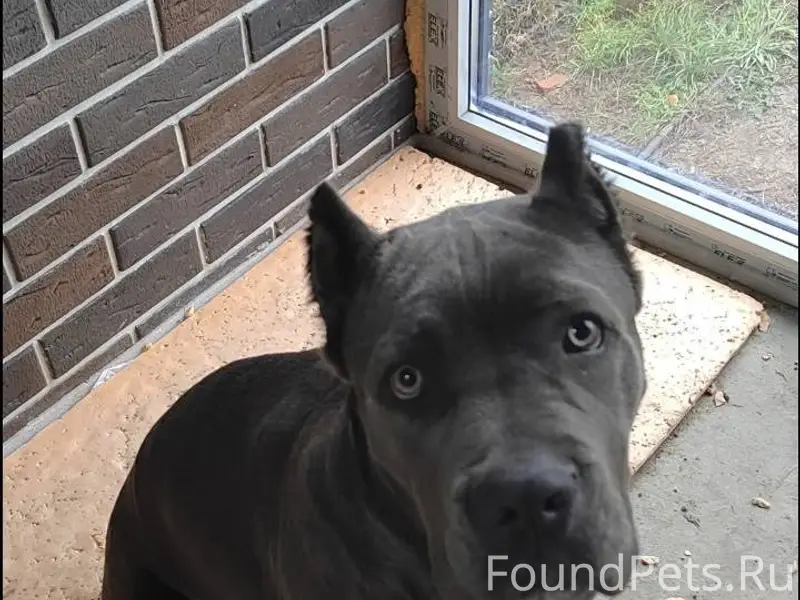 Продолжаются поиски. С надеждо...