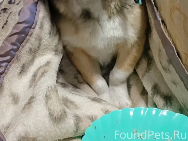 Новоильинский район. Прошу сро...