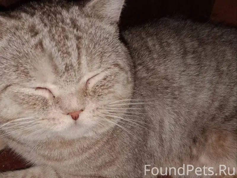 Срочно, в районе ул Советская ...