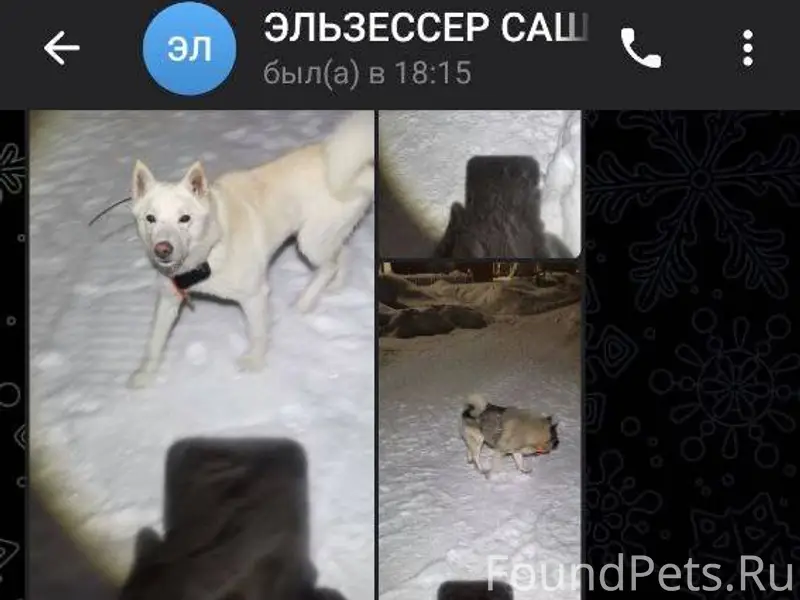 В поселке Вожский Удорского ра...