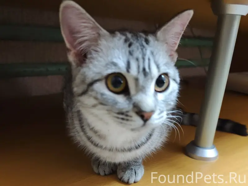 ‼️ПОМОГАЕМ ИНФОРМАЦИОННО‼️ Ище...