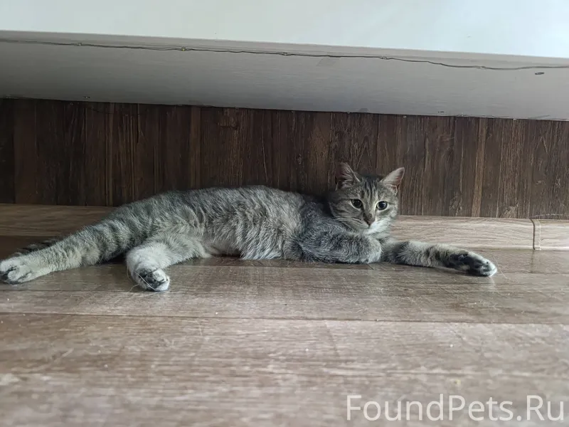 Вот такая малышка, Василина, в...