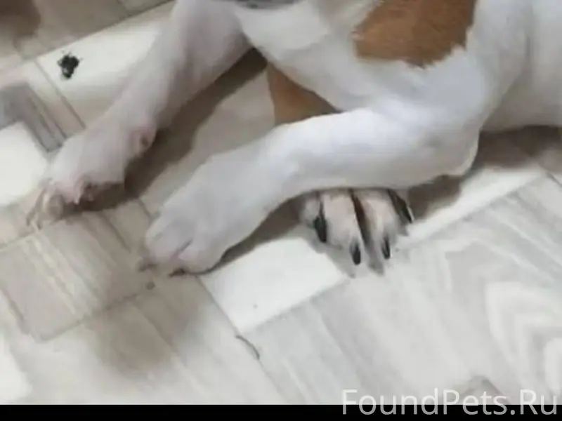 За ВОЗНАГРАЖДЕНИЕ!