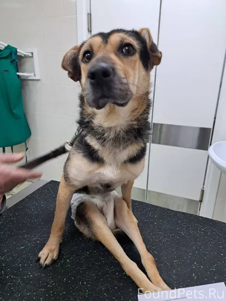 🆘🆘🆘 Для раненой (пуля в позвон...