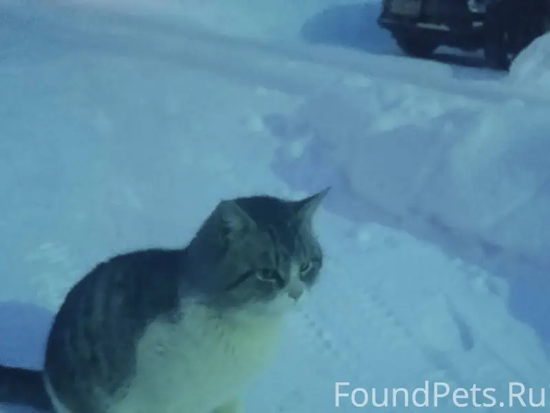 С осени на ул. Г. Булатова...