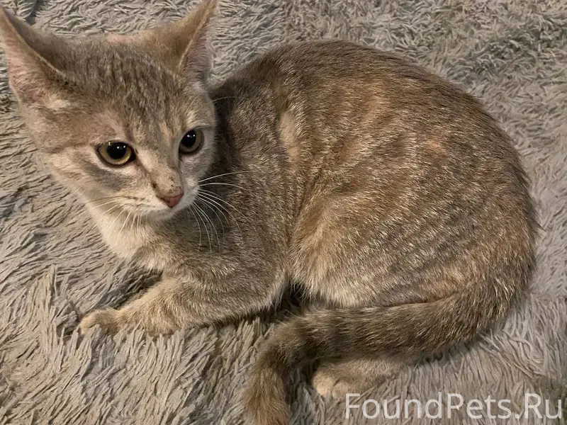 18.01.26 на улице 1...