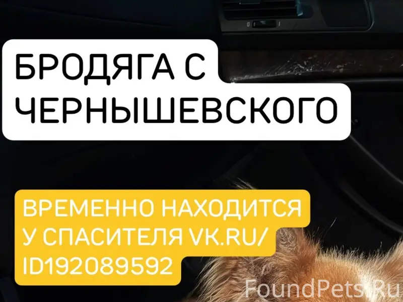 Собака находится здесь: https:...