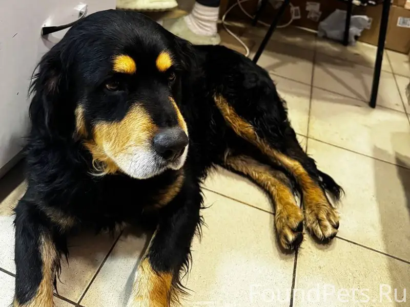 🆘🆘Симферополь, ул. Тургенева🆘🆘...