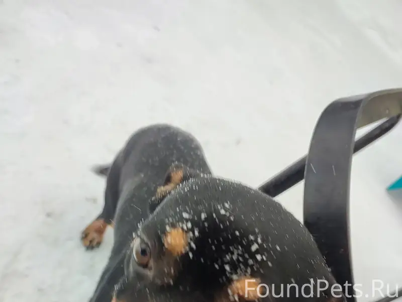 Здравствуйте! Сегодня вышла чи...