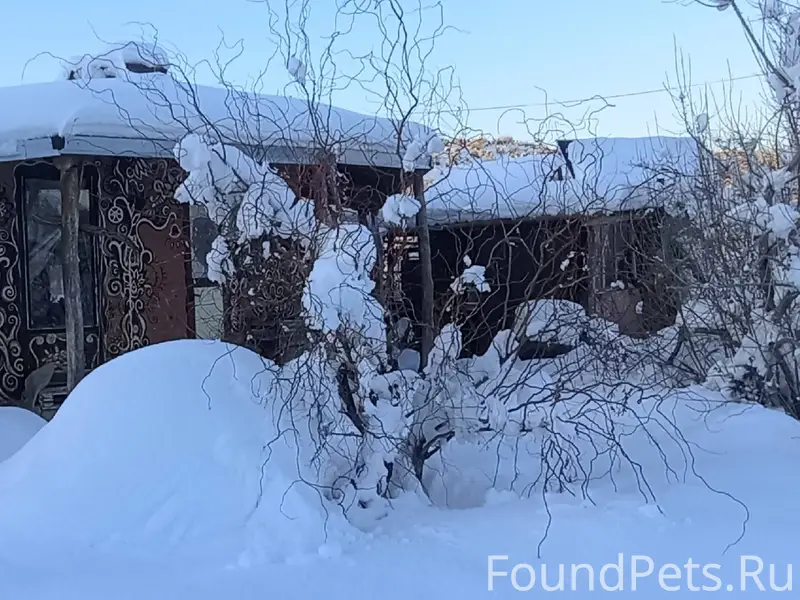 С Новым Годом! С Новым счастье...