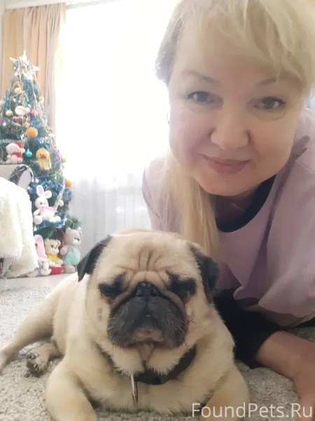 Вот такой дружочек у меня гост...