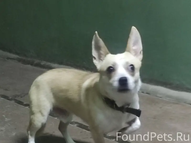 Здравствуйте балаковцы кто пот...